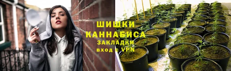 Конопля Ganja  наркотики  Старая Купавна 